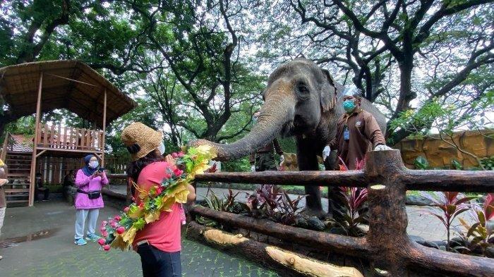 Surabaya & Mojokerto - 1 Day — photo 4