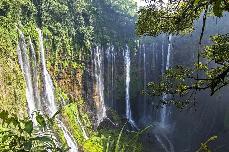Bromo & Tumpak Sewu Waterfall (1 Day) Tour Package — photo 5