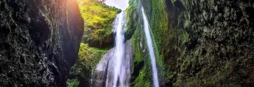 Tall streams of Madakaripura Waterfall cascading down mossy cliffs in East Java, Indonesia