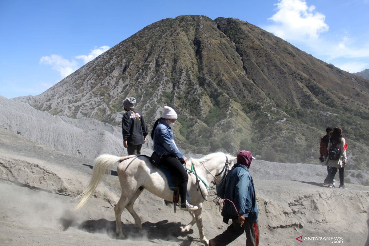 Mt Bromo Tour: Complete Guide to Indonesia's Most Iconic Volcanic Adventure