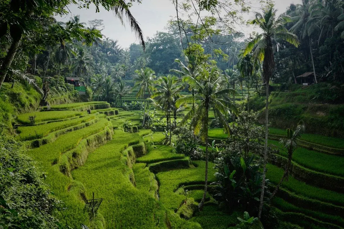 Bali for First-Timers: Complete Travel Guide with Tips, Costs, and Best Experiences